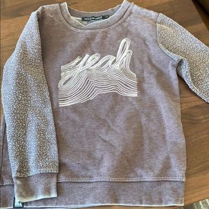 Mini and Maximus gray sweatshirt